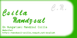 csilla mandzsul business card